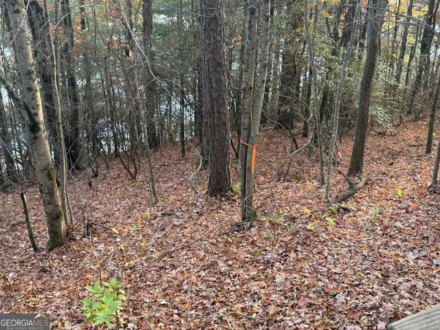 $210,000 | 47 Brasstown Lane, Dillard, GA 30537