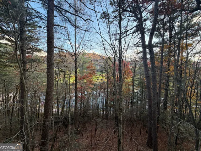 $210,000 | 47 Brasstown Lane, Dillard, GA 30537