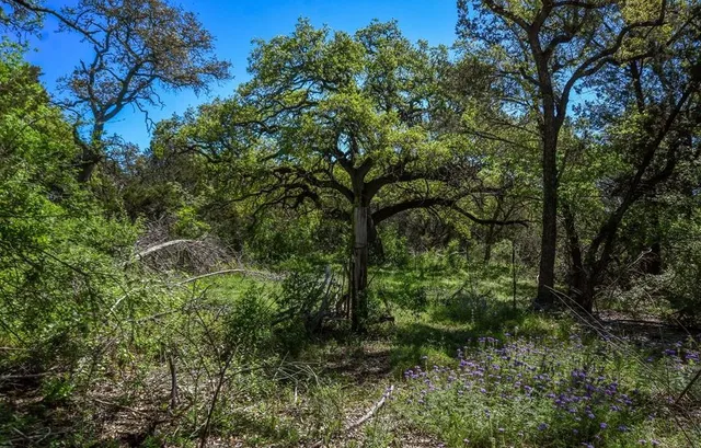 a view of swimming pool from a lake view