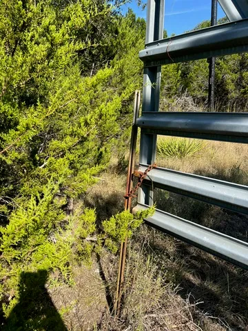 a big yard with lots of green space and deers