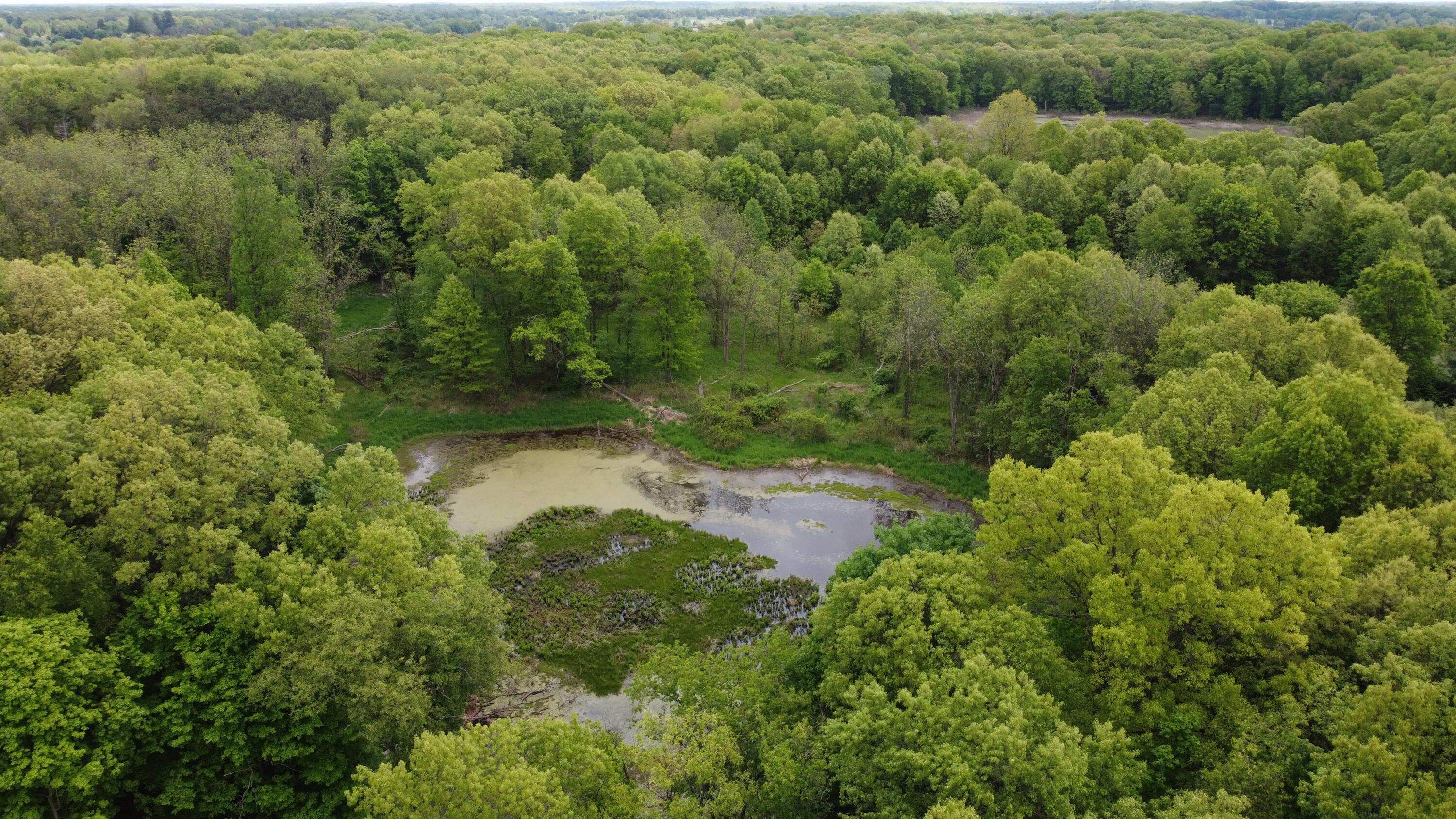 16460 15 Mile Road Marshall, MI 49068 - Photo 58 of 64 DJI_0317