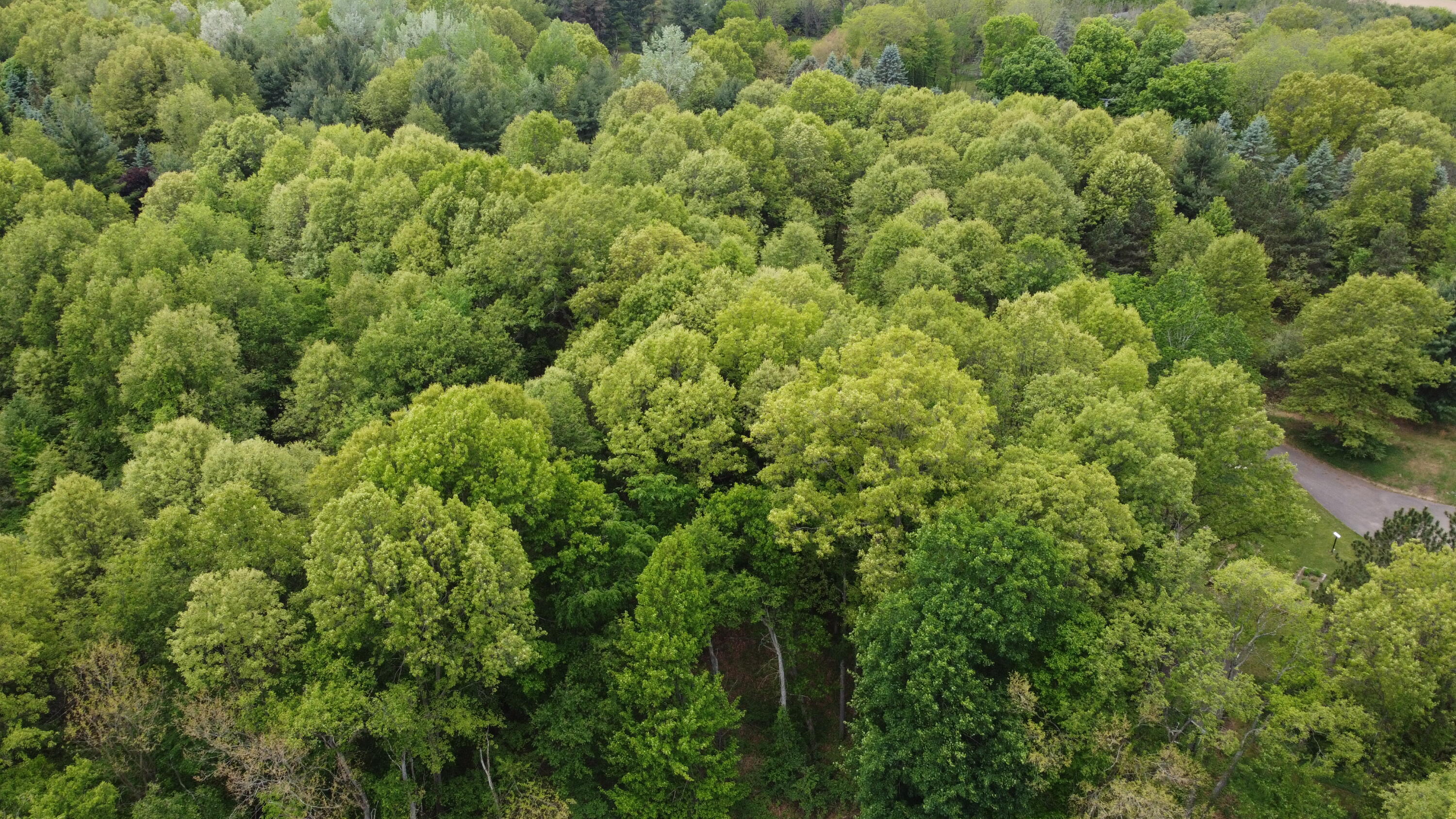 16460 15 Mile Road Marshall, MI 49068 - Photo 63 of 64 DJI_0333