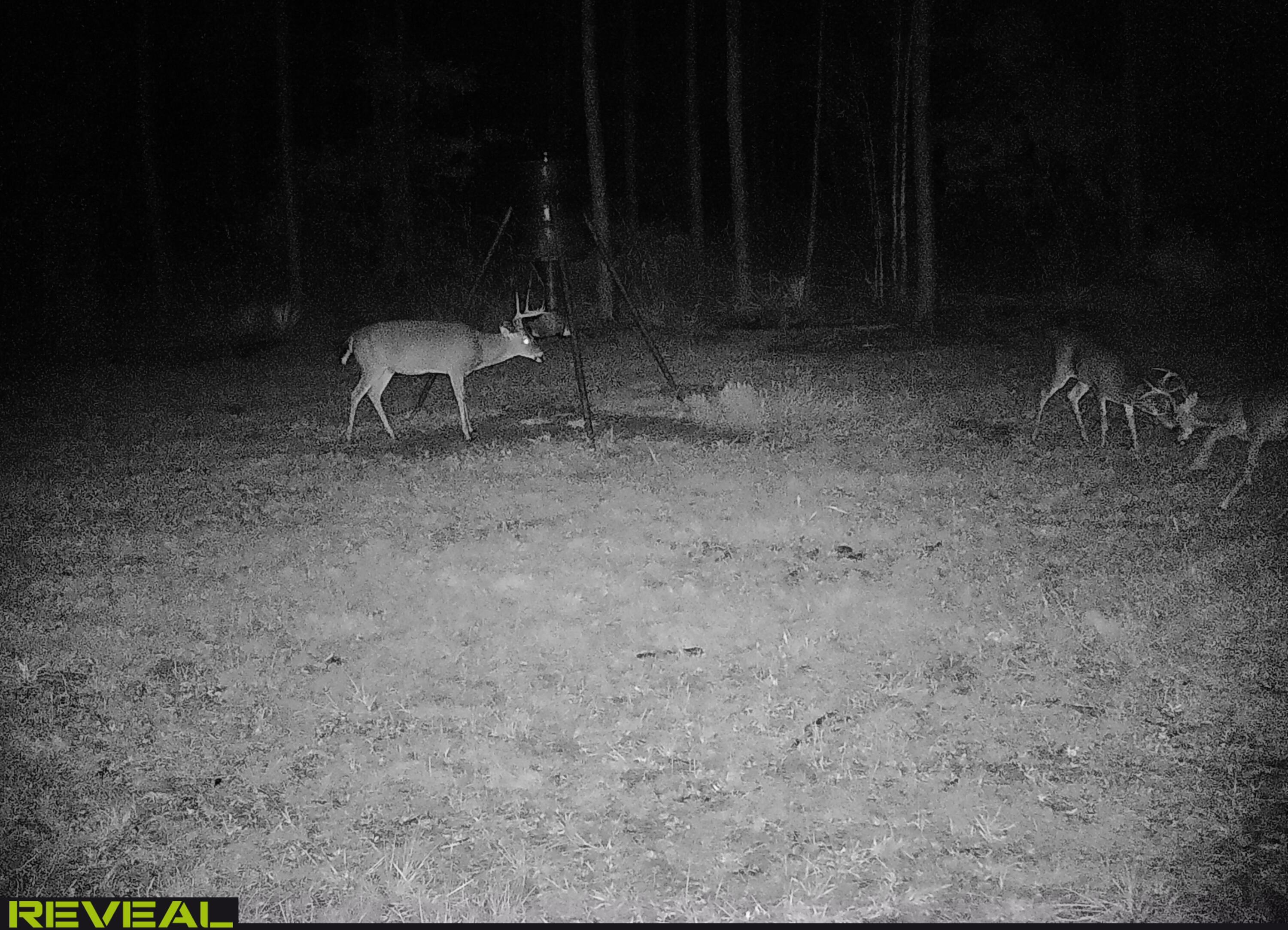 609 Blun Road Swainsboro, GA 30401 - Photo 34 of 62 SYEW4636