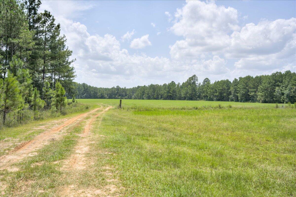609 Blun Road Swainsboro, GA 30401 - Photo 35 of 62 59-059-