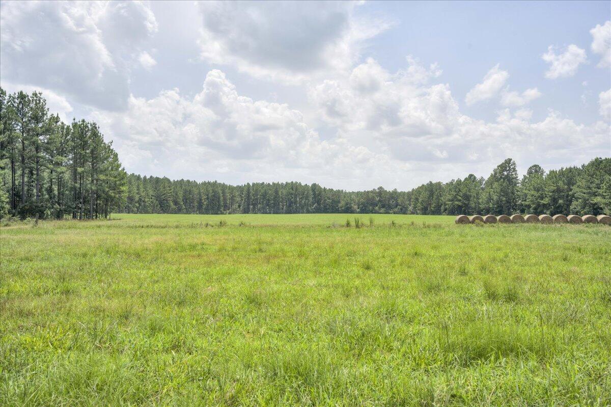 609 Blun Road Swainsboro, GA 30401 - Photo 37 of 62 56-056-