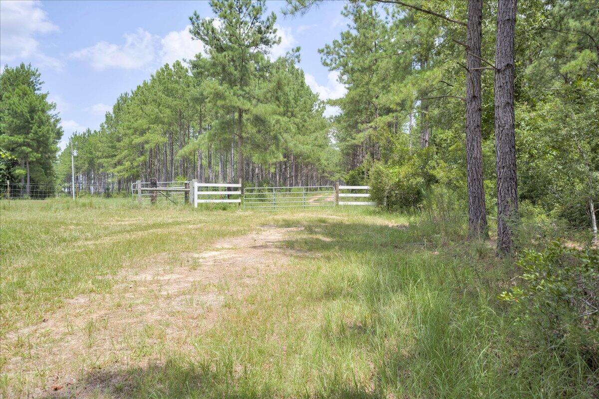 609 Blun Road Swainsboro, GA 30401 - Photo 38 of 62 55-055-