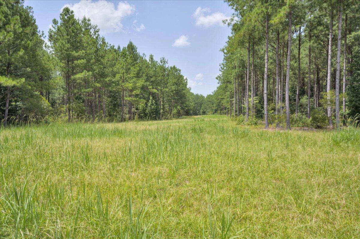609 Blun Road Swainsboro, GA 30401 - Photo 41 of 62 52-052-