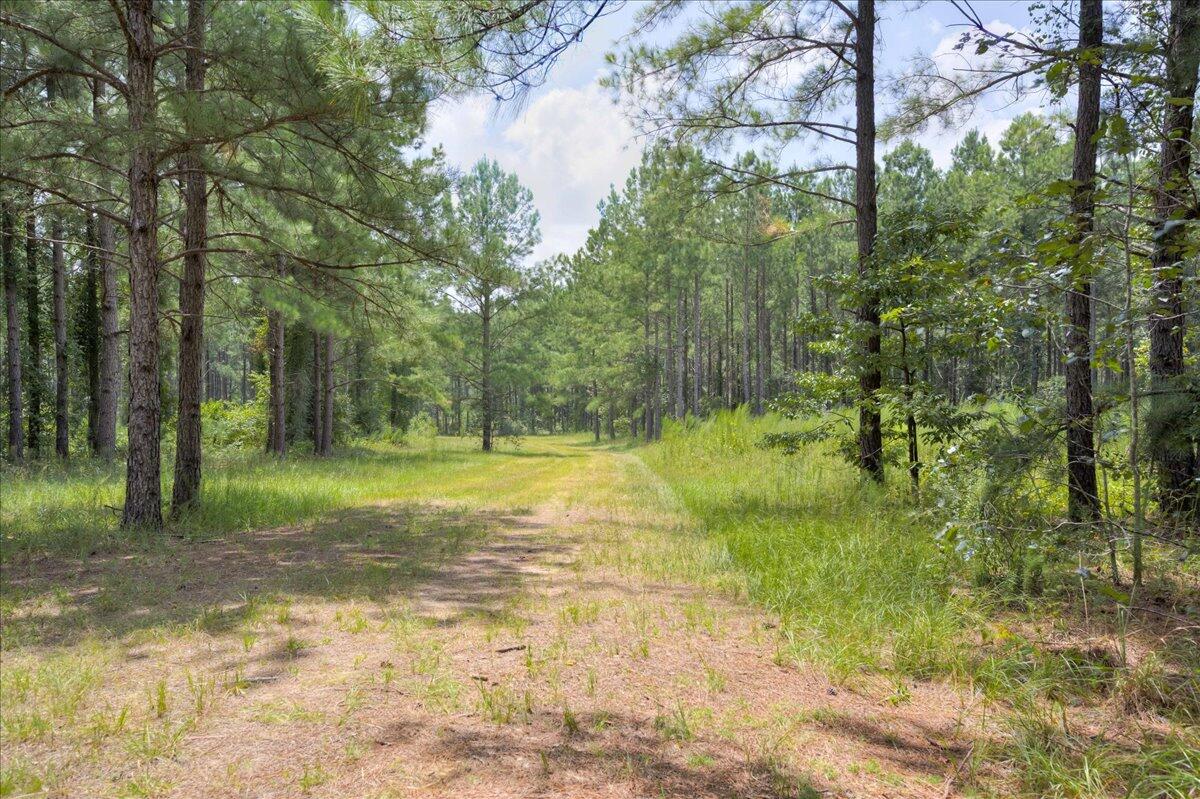 609 Blun Road Swainsboro, GA 30401 - Photo 42 of 62 51-051-