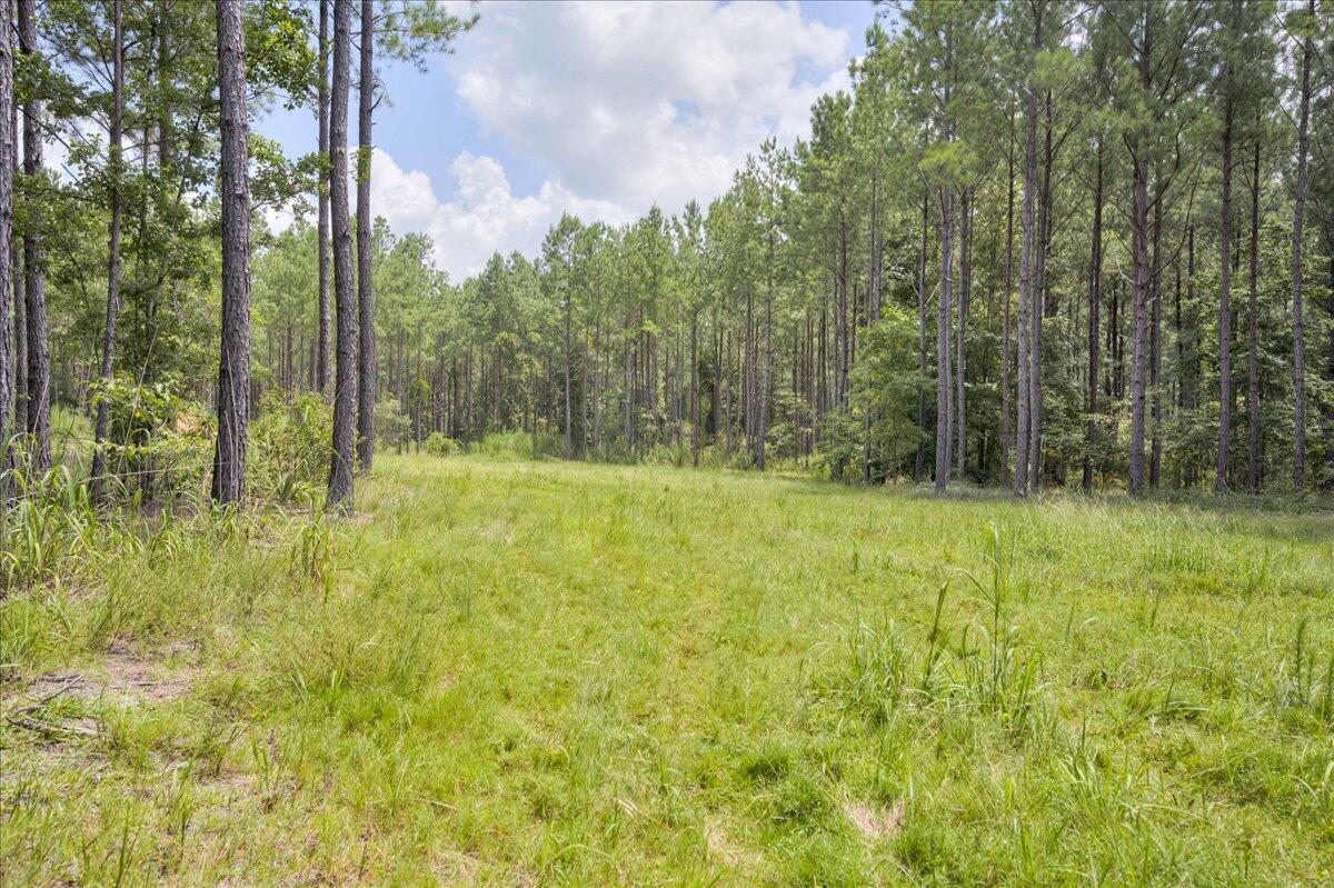 609 Blun Road Swainsboro, GA 30401 - Photo 43 of 62 50-050-