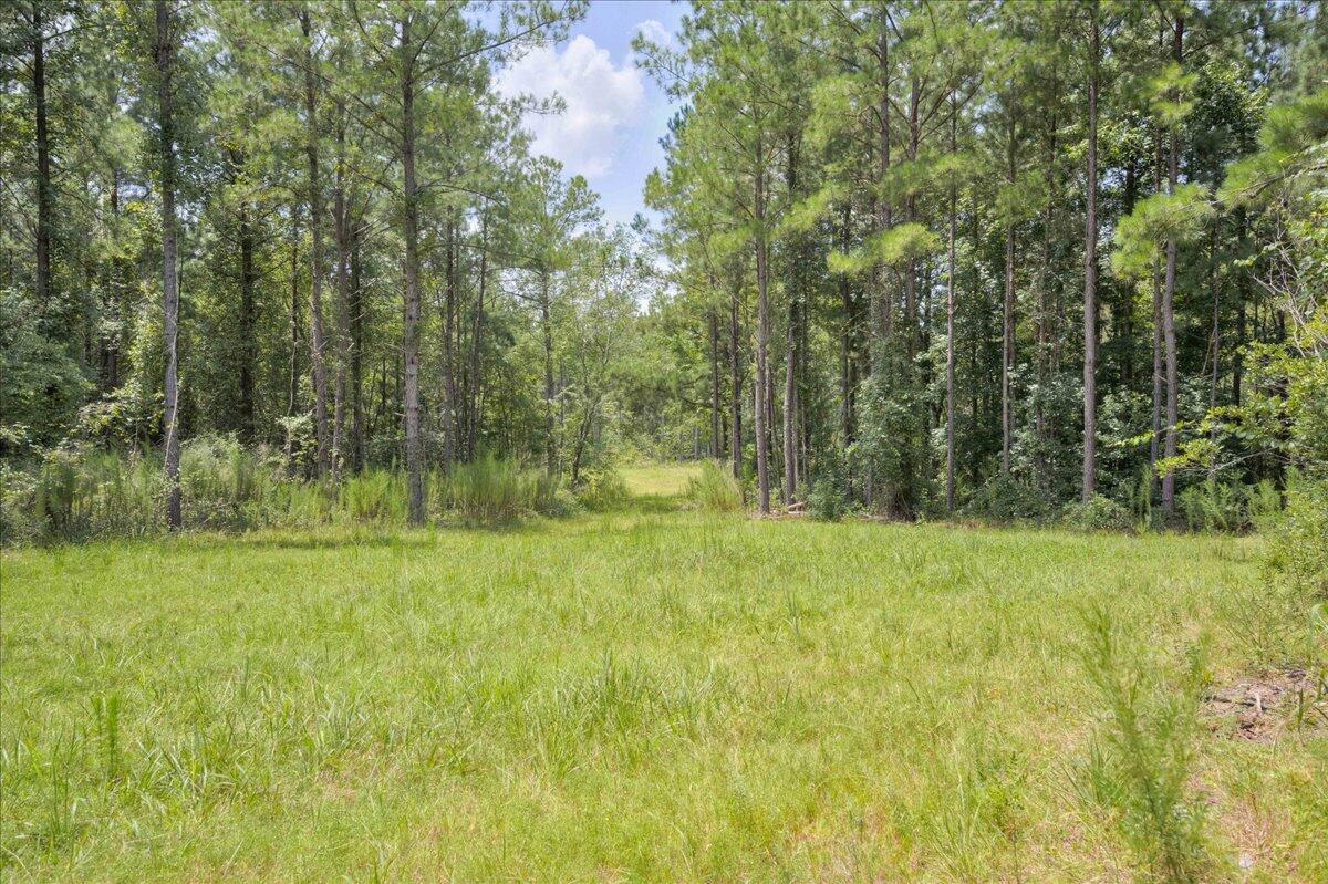 609 Blun Road Swainsboro, GA 30401 - Photo 44 of 62 49-049-