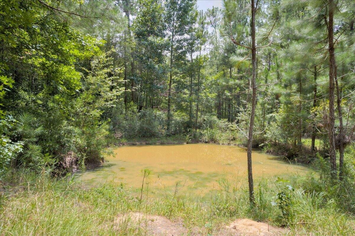609 Blun Road Swainsboro, GA 30401 - Photo 45 of 62 48-048-