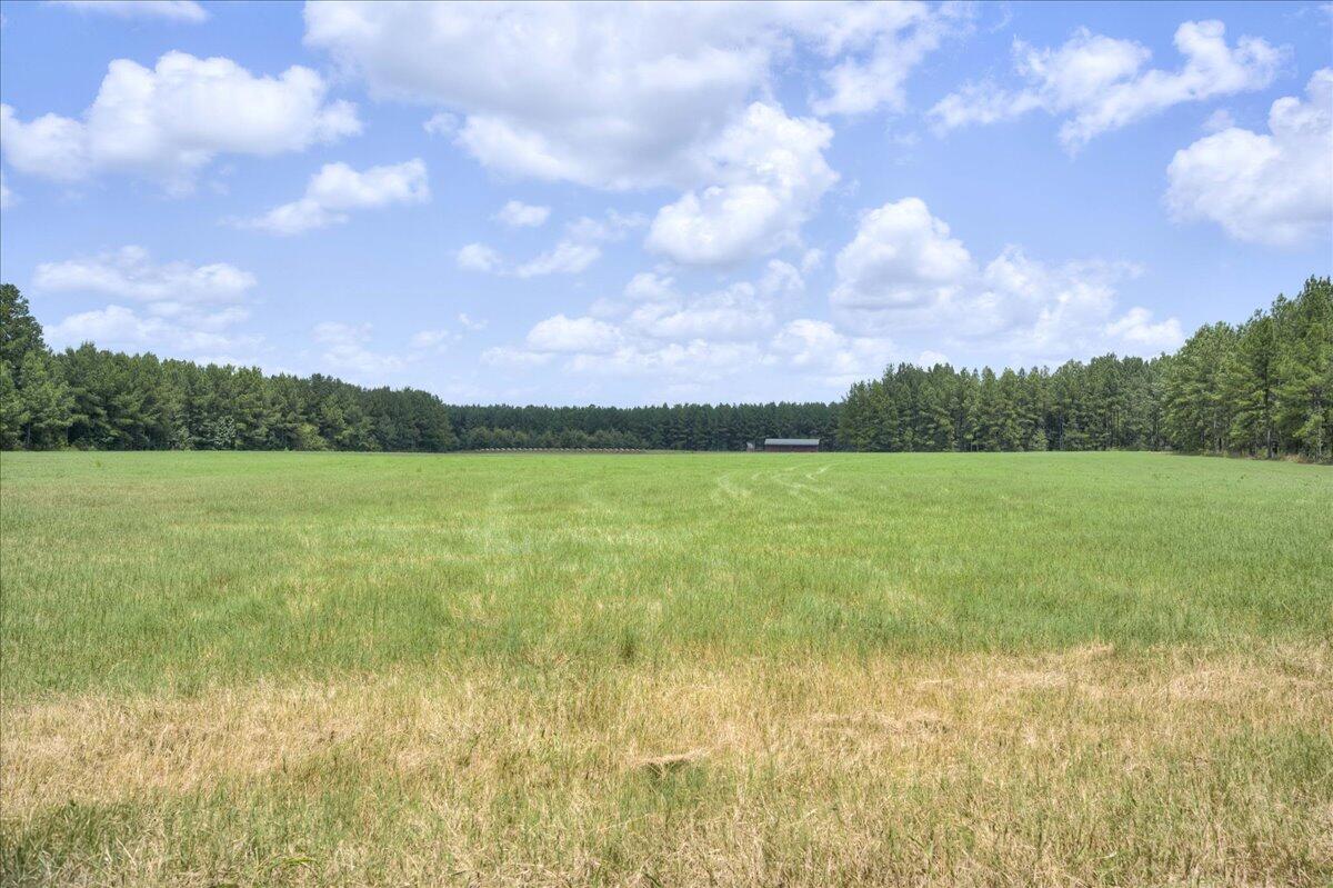 609 Blun Road Swainsboro, GA 30401 - Photo 46 of 62 47-047-