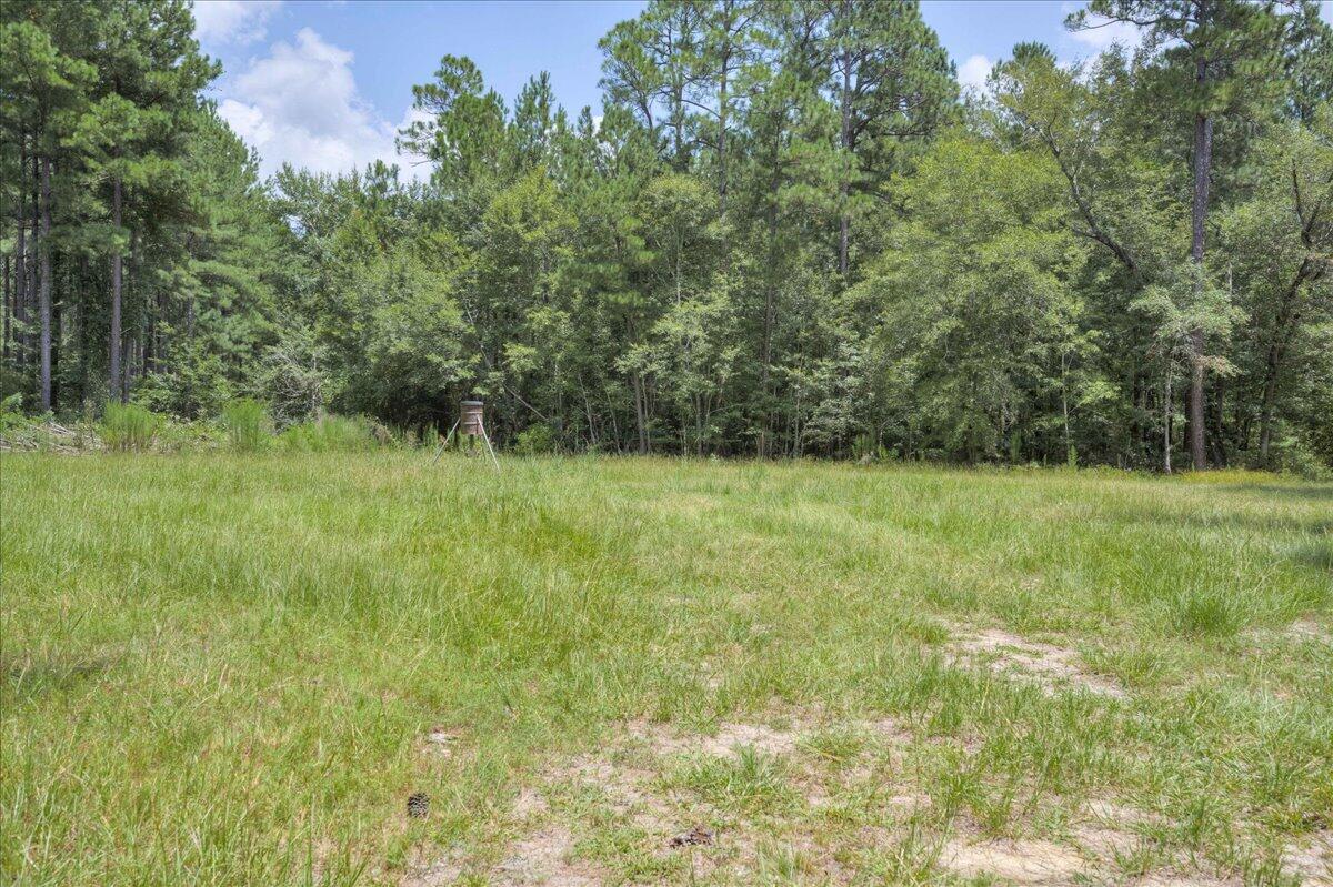 609 Blun Road Swainsboro, GA 30401 - Photo 47 of 62 46-046-