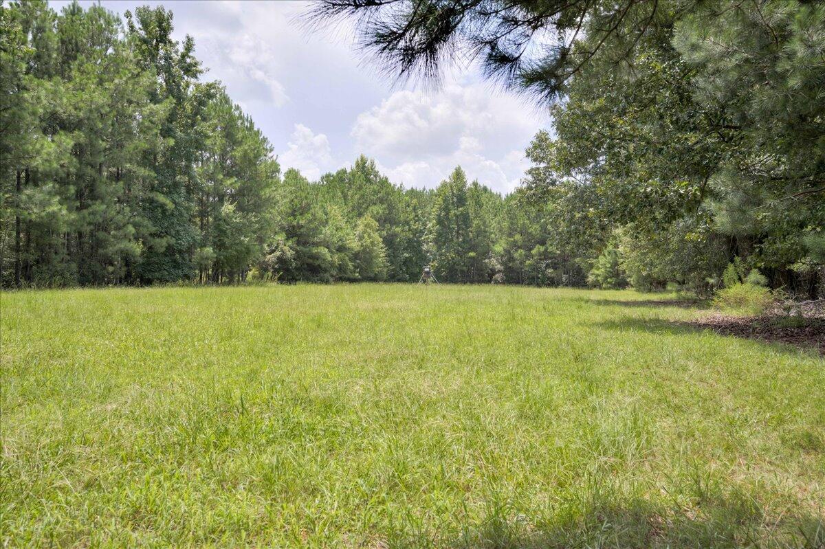 609 Blun Road Swainsboro, GA 30401 - Photo 49 of 62 44-044-