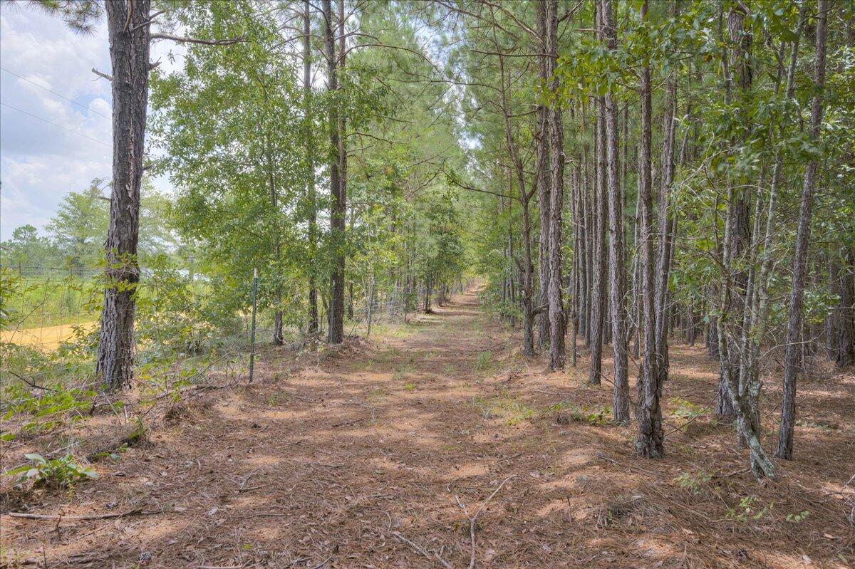 609 Blun Road Swainsboro, GA 30401 - Photo 50 of 62 43-043-