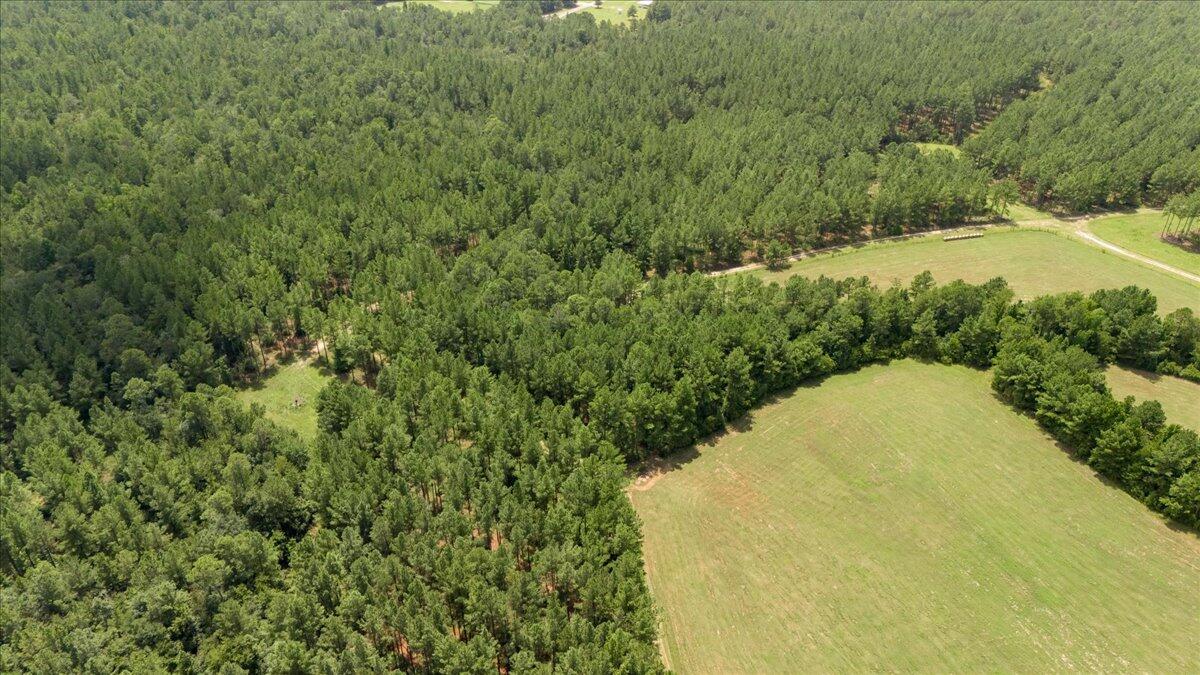 609 Blun Road Swainsboro, GA 30401 - Photo 56 of 62 34-034-