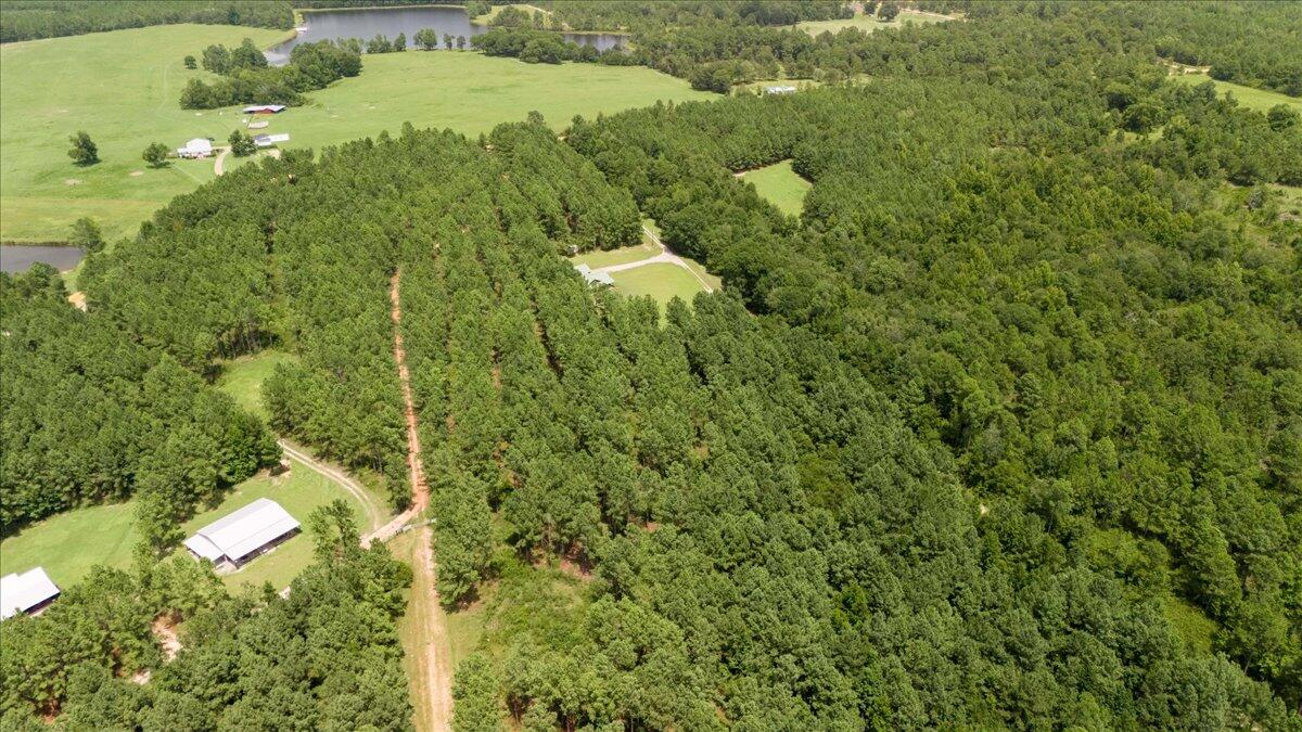 609 Blun Road Swainsboro, GA 30401 - Photo 59 of 62 31-031-