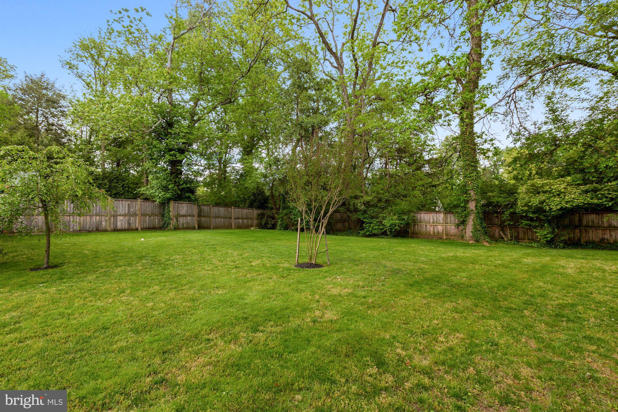 10011 Frederick Avenue Kensington, MD 20895 - Photo 66 of 72 Rear Yard