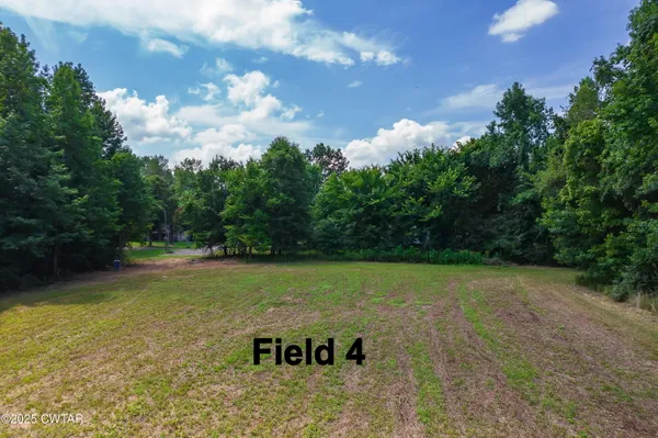 a view of a big yard with large trees
