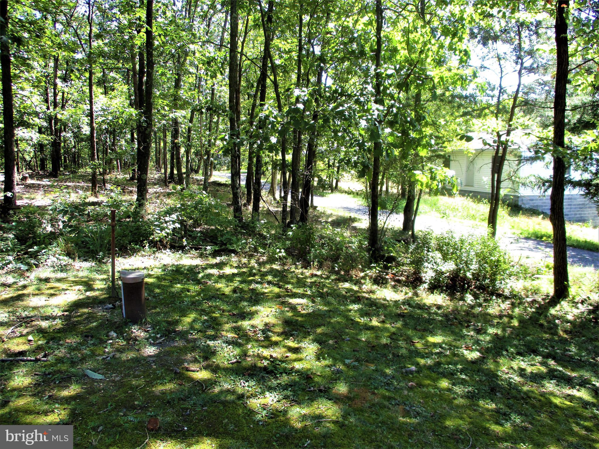 526 Sugar Hollow Road Berkeley Springs, WV 25411 - Photo 49 of 57
