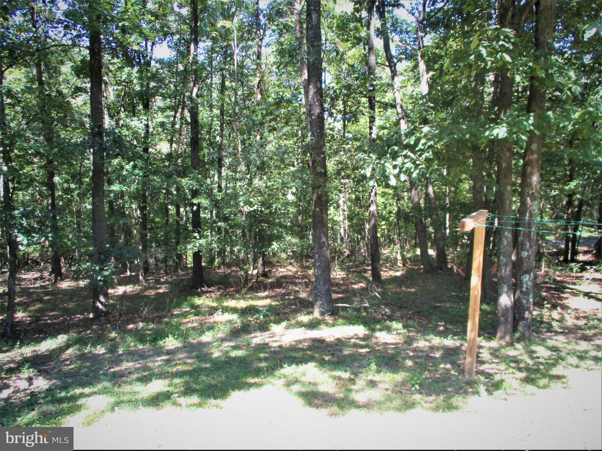 526 Sugar Hollow Road Berkeley Springs, WV 25411 - Photo 56 of 57
