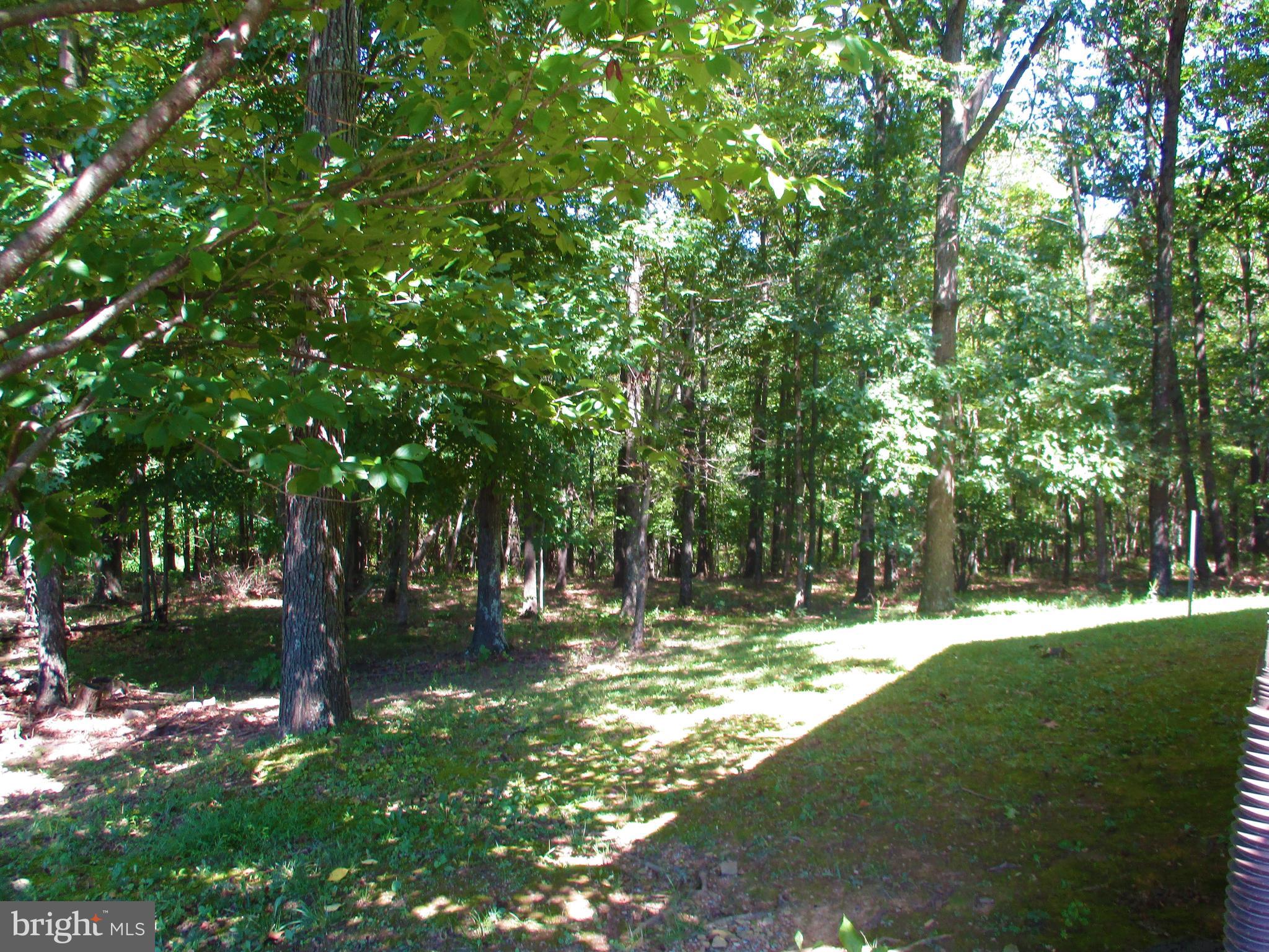 526 Sugar Hollow Road Berkeley Springs, WV 25411 - Photo 8 of 57