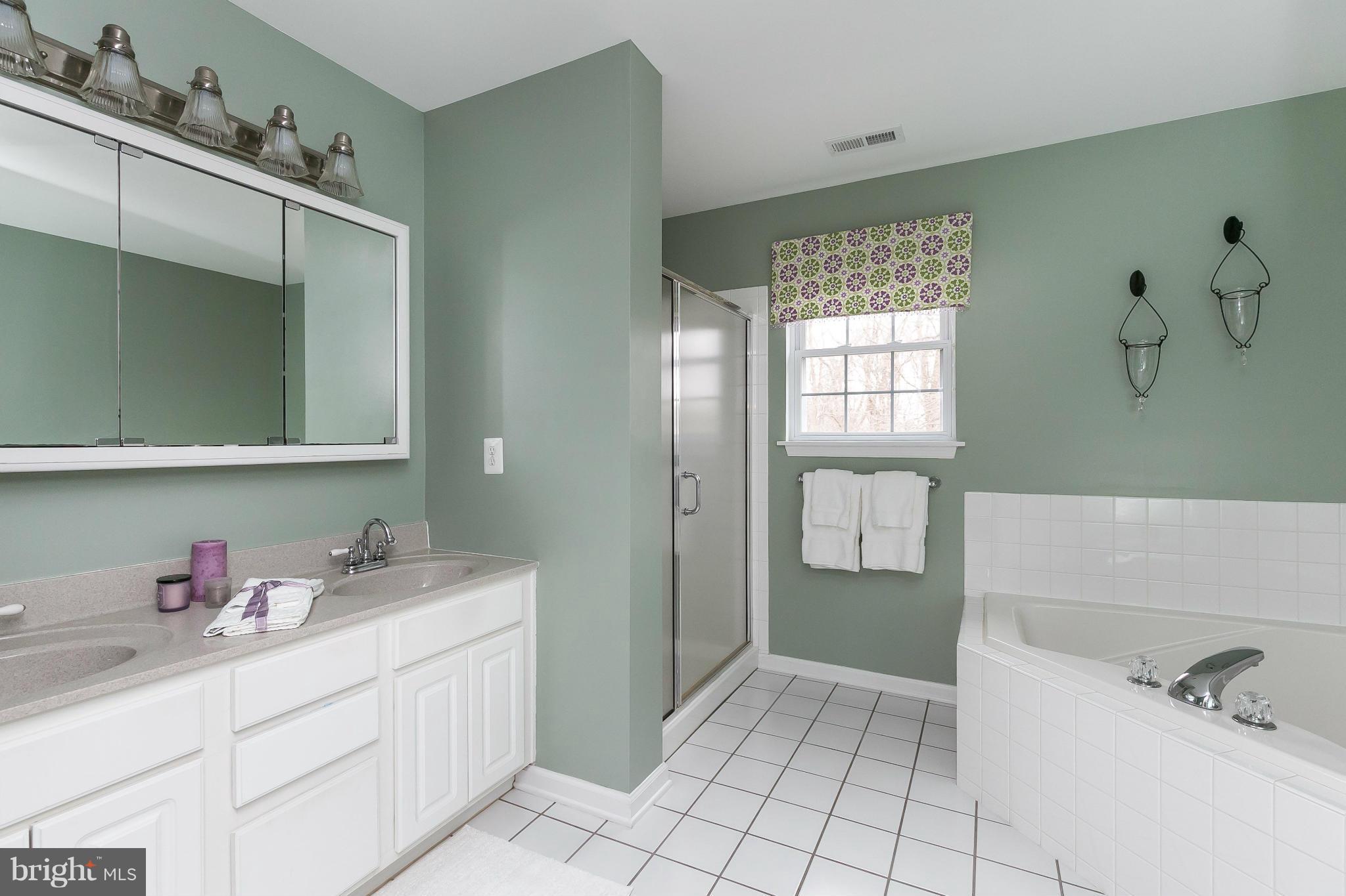 1231 Nottingham Road Westminster, MD 21157 - Photo 15 of 30 Bath (Master) with double vanity