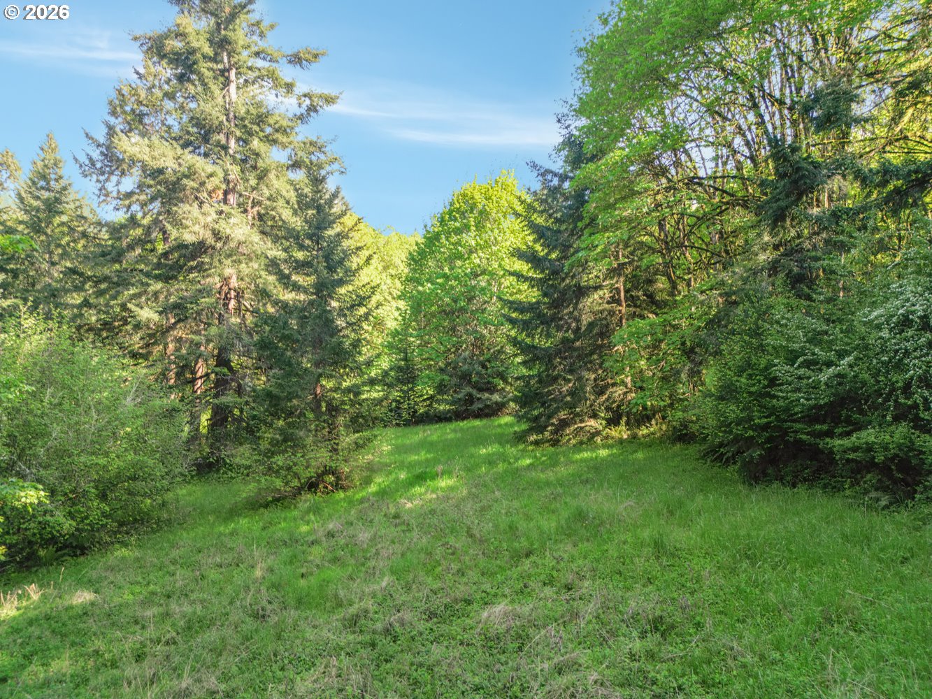 43288 Rodgers Mountain Loop Scio, OR 97374 - Photo 29 of 34