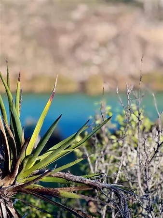 $779,900 | 25-26 Seven Springs Dr Junction, Junction, TX 76849