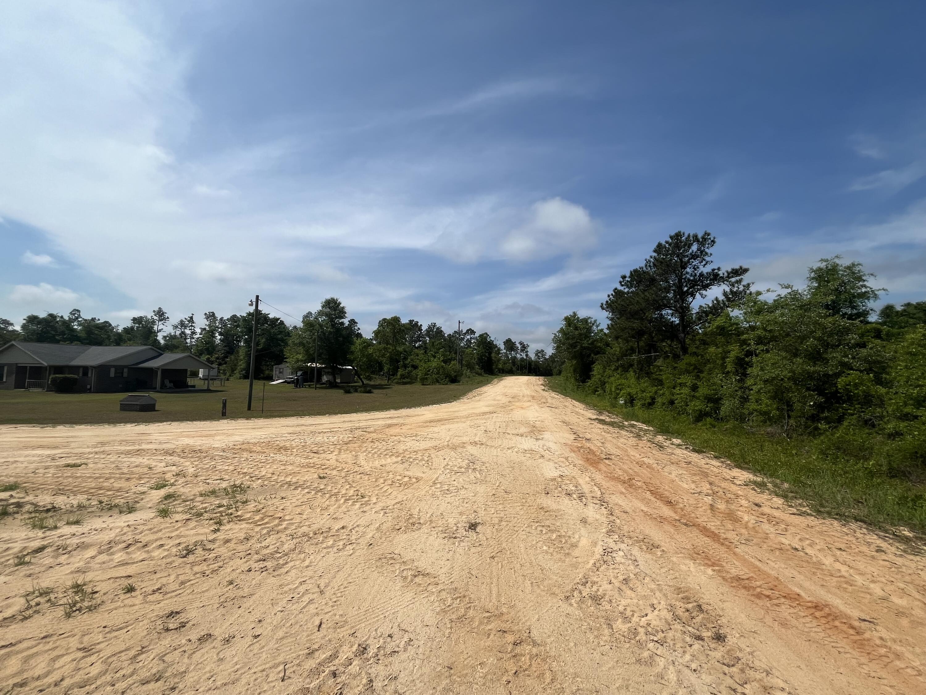 Tbd Rome Avenue Alford, FL 32420 - Photo 5 of 13 IMG_1898