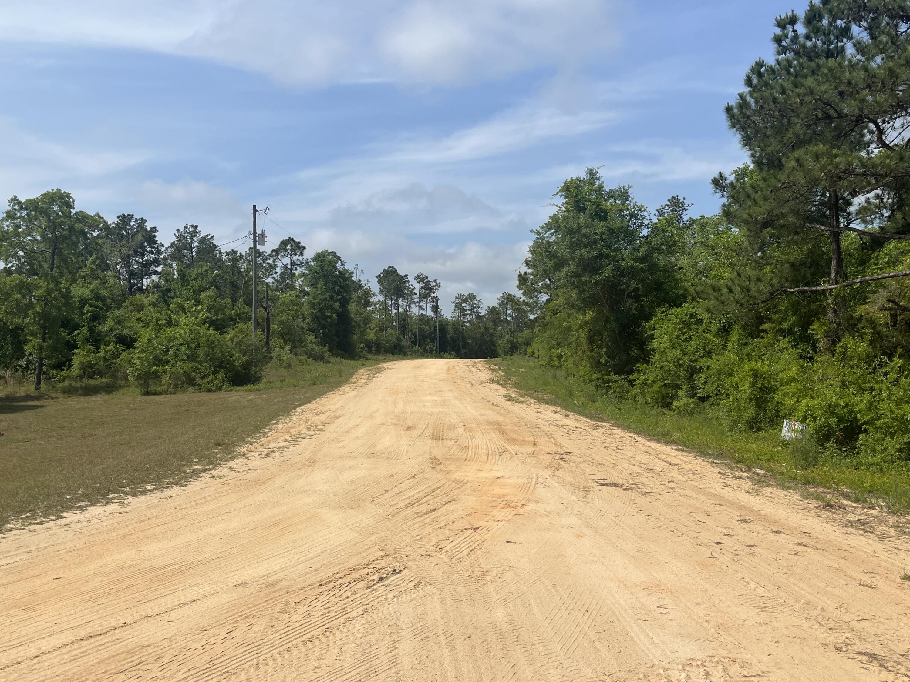 Tbd Rome Avenue Alford, FL 32420 - Photo 6 of 13 IMG_1899