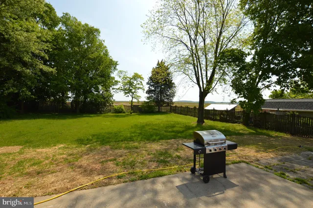 a backyard of a house with plants and large tree