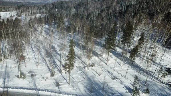 $110,000 | Lot 83 Johnson Lane, Rangeley, ME 04970