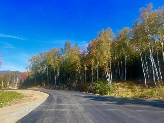 Lot 83 Johnson Lane Rangeley, ME 04970 - Photo 8 of 9 Looking toward Big Snow Way