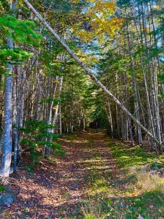 $110,000 | Lot 83 Johnson Lane, Rangeley, ME 04970