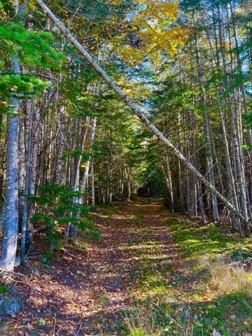 $110,000 | Lot 83 Johnson Lane, Rangeley, ME 04970