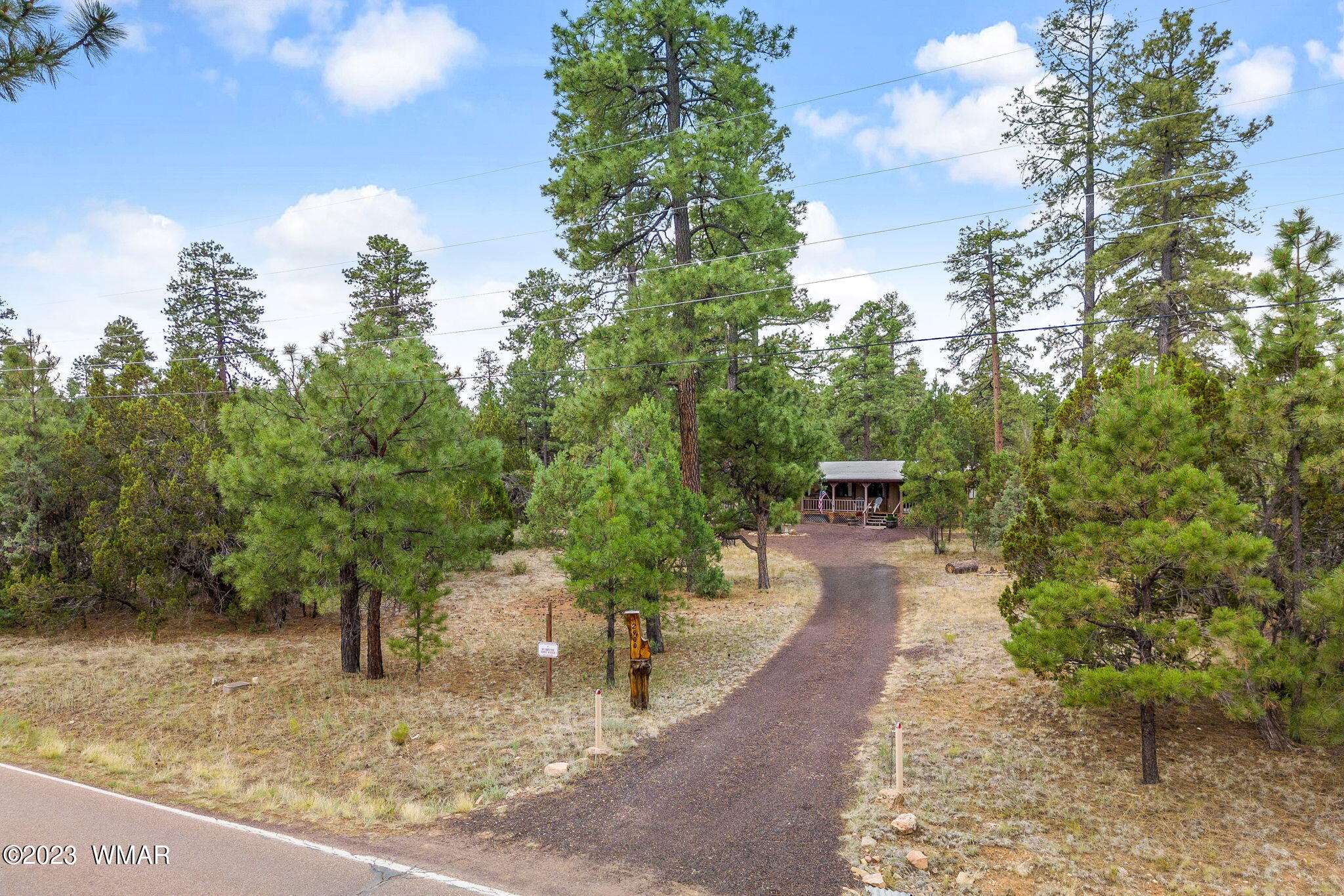 2900 Pine Rim Road Overgaard, AZ 85933 - Photo 24 of 26