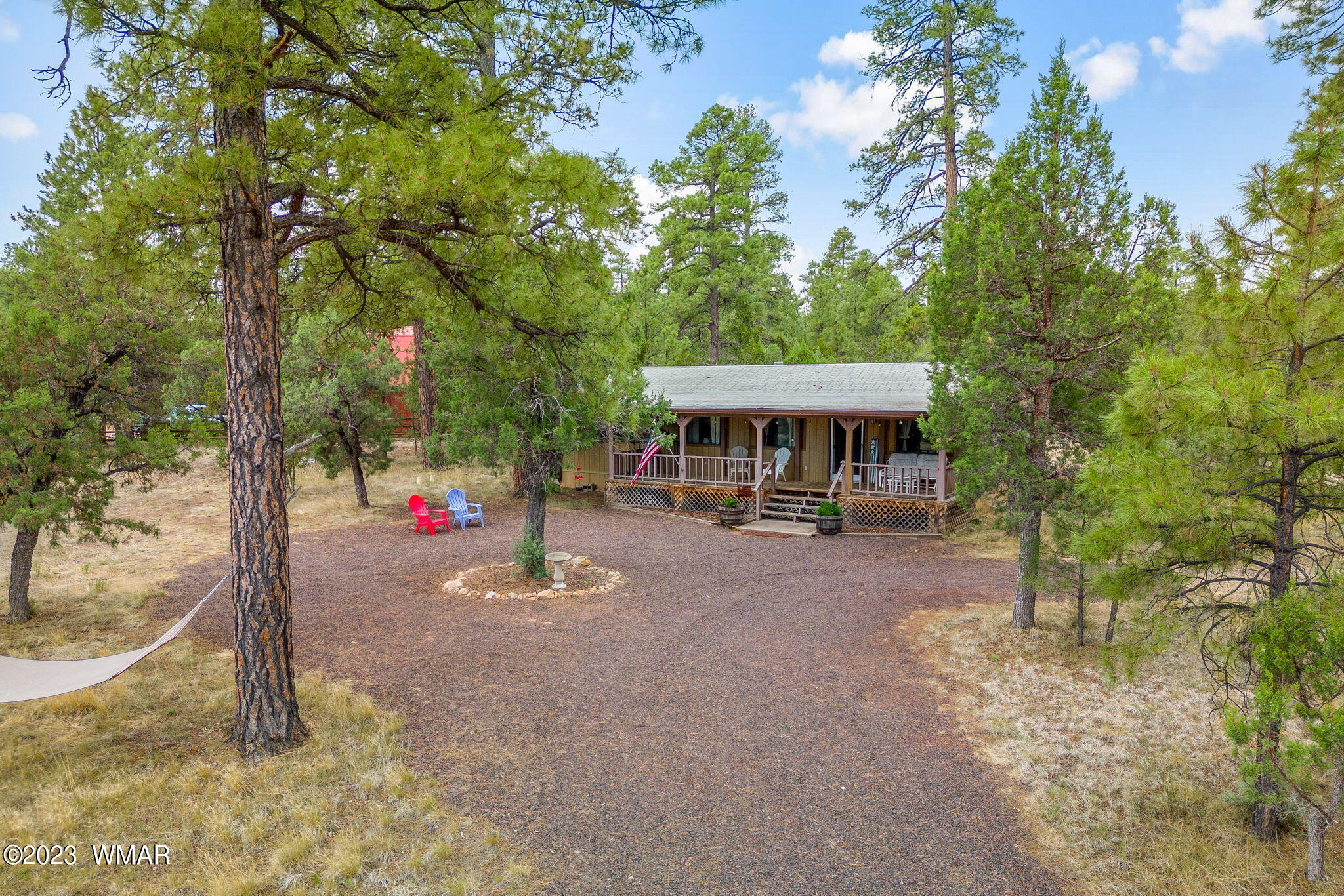 2900 Pine Rim Road Overgaard, AZ 85933 - Photo 3 of 26