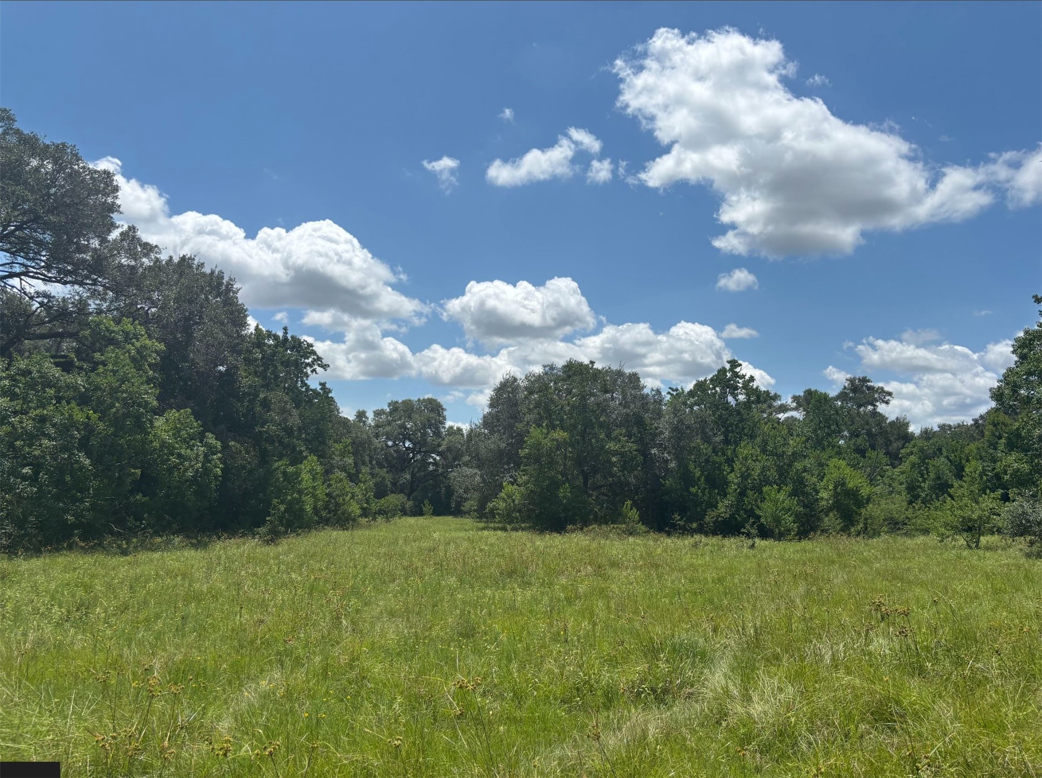 0 Frantz Road Cat Spring, TX 78933 - Photo 11 of 25