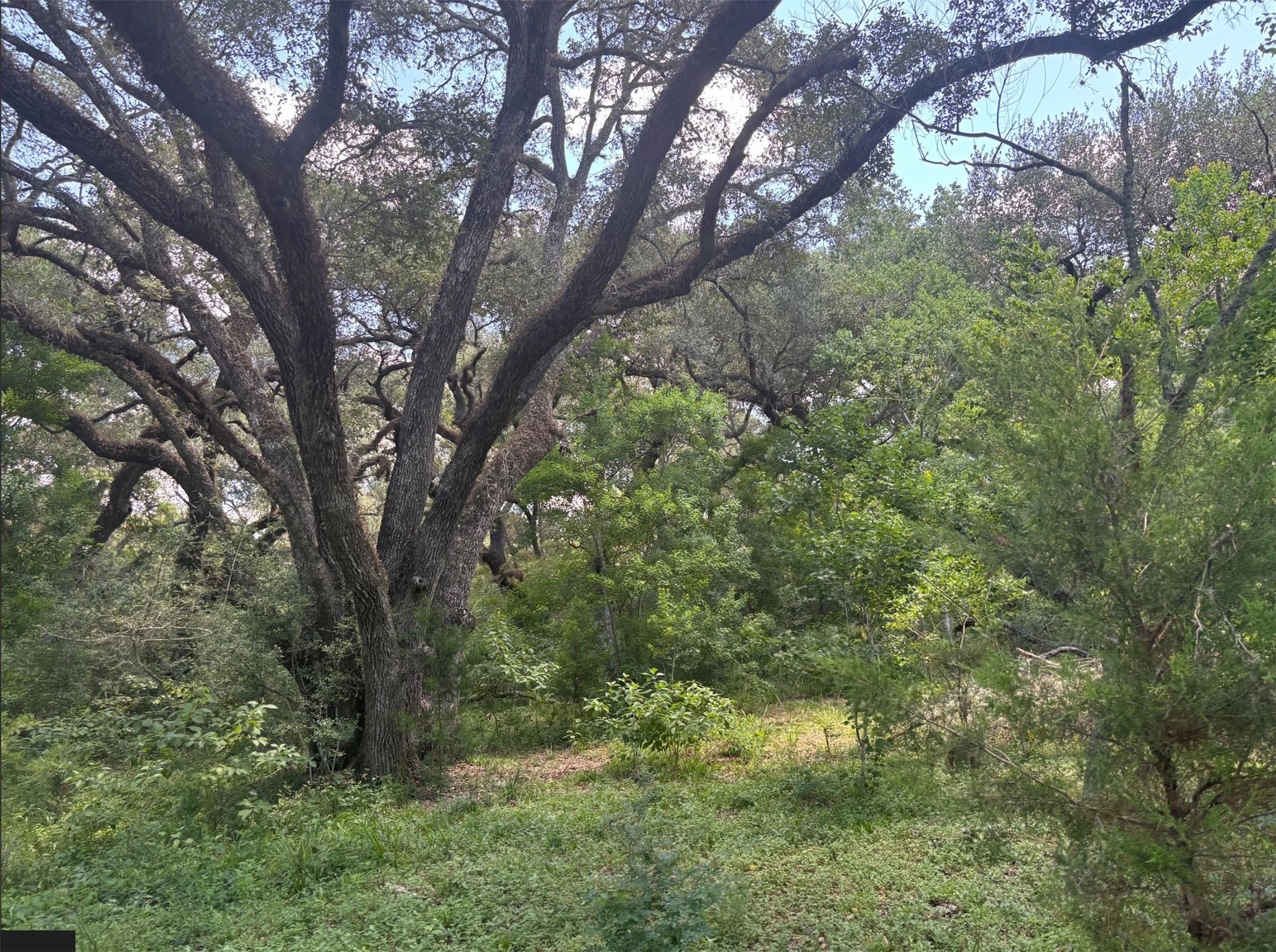 0 Frantz Road Cat Spring, TX 78933 - Photo 13 of 25