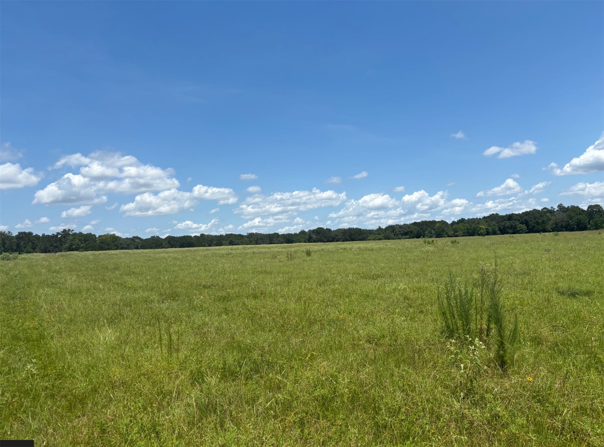 0 Frantz Road Cat Spring, TX 78933 - Photo 16 of 25