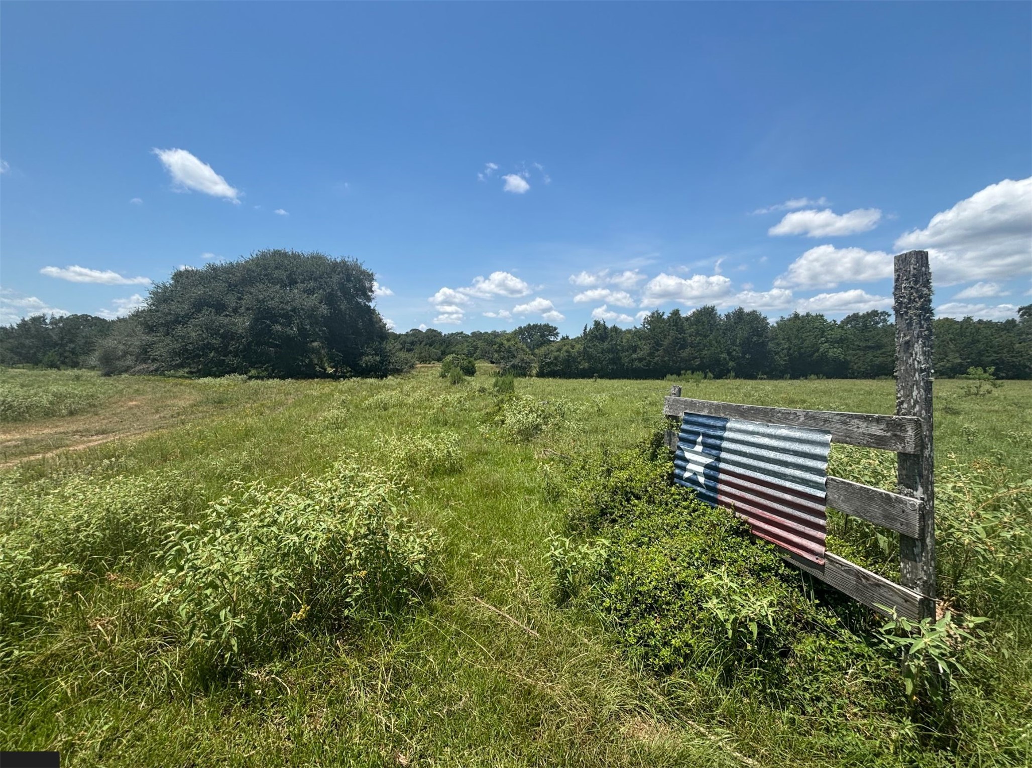 0 Frantz Road Cat Spring, TX 78933 - Photo 17 of 25