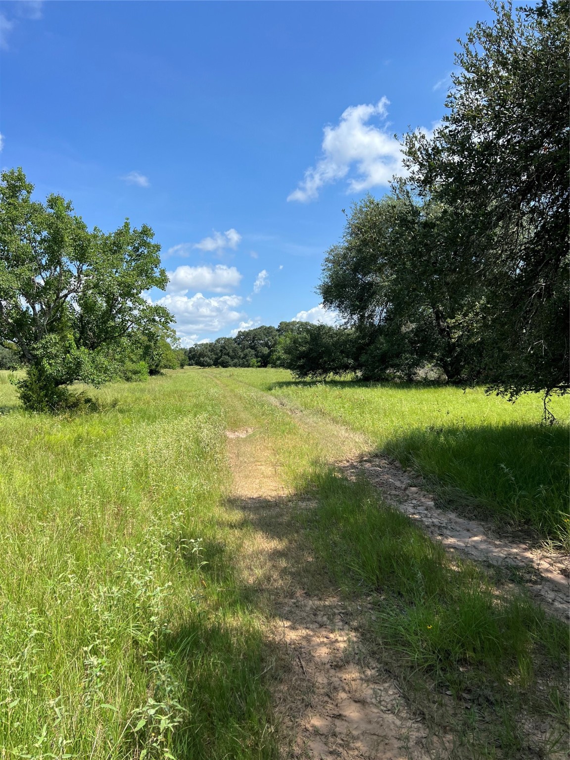 0 Frantz Road Cat Spring, TX 78933 - Photo 18 of 25