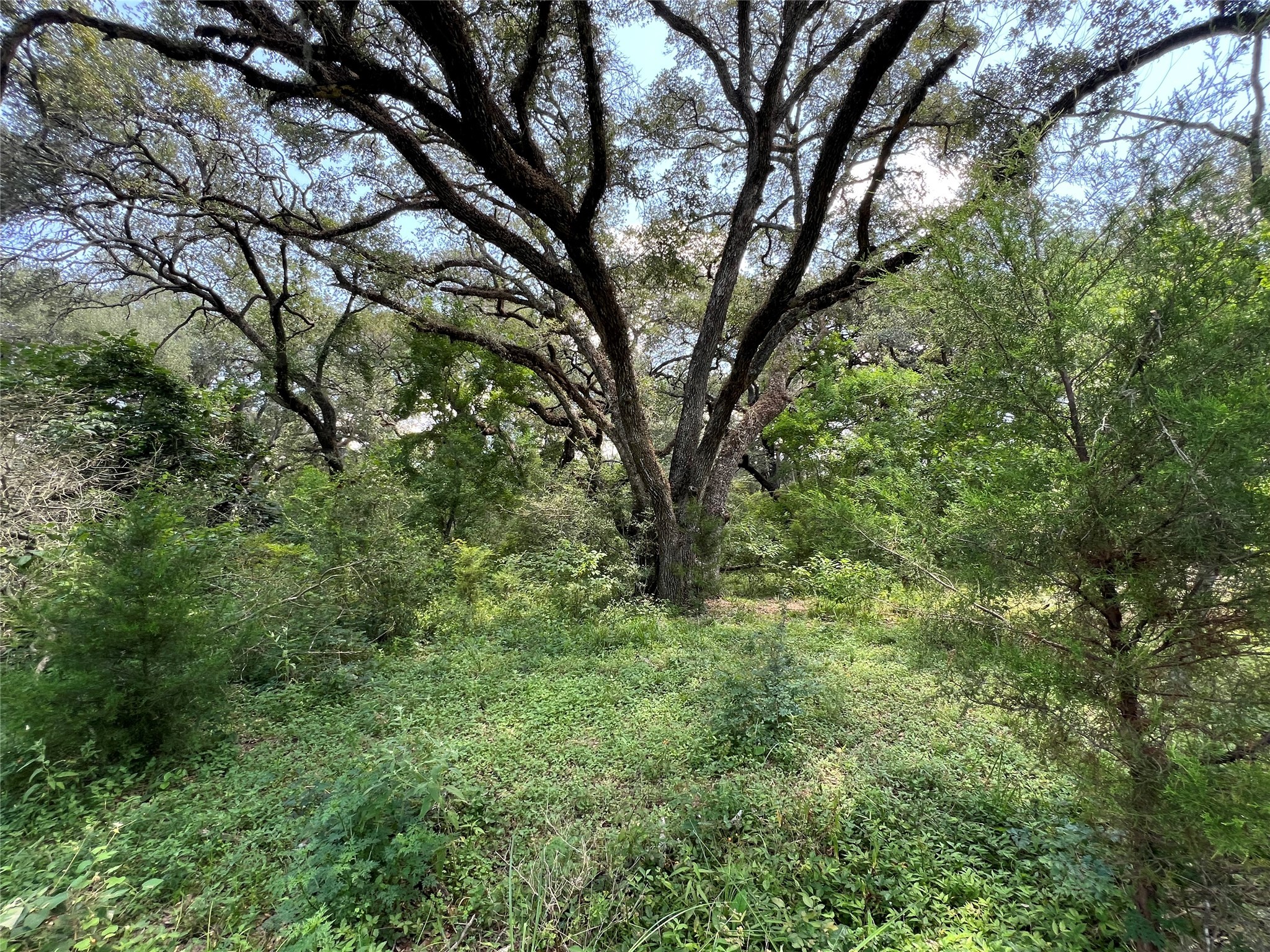 0 Frantz Road Cat Spring, TX 78933 - Photo 19 of 25