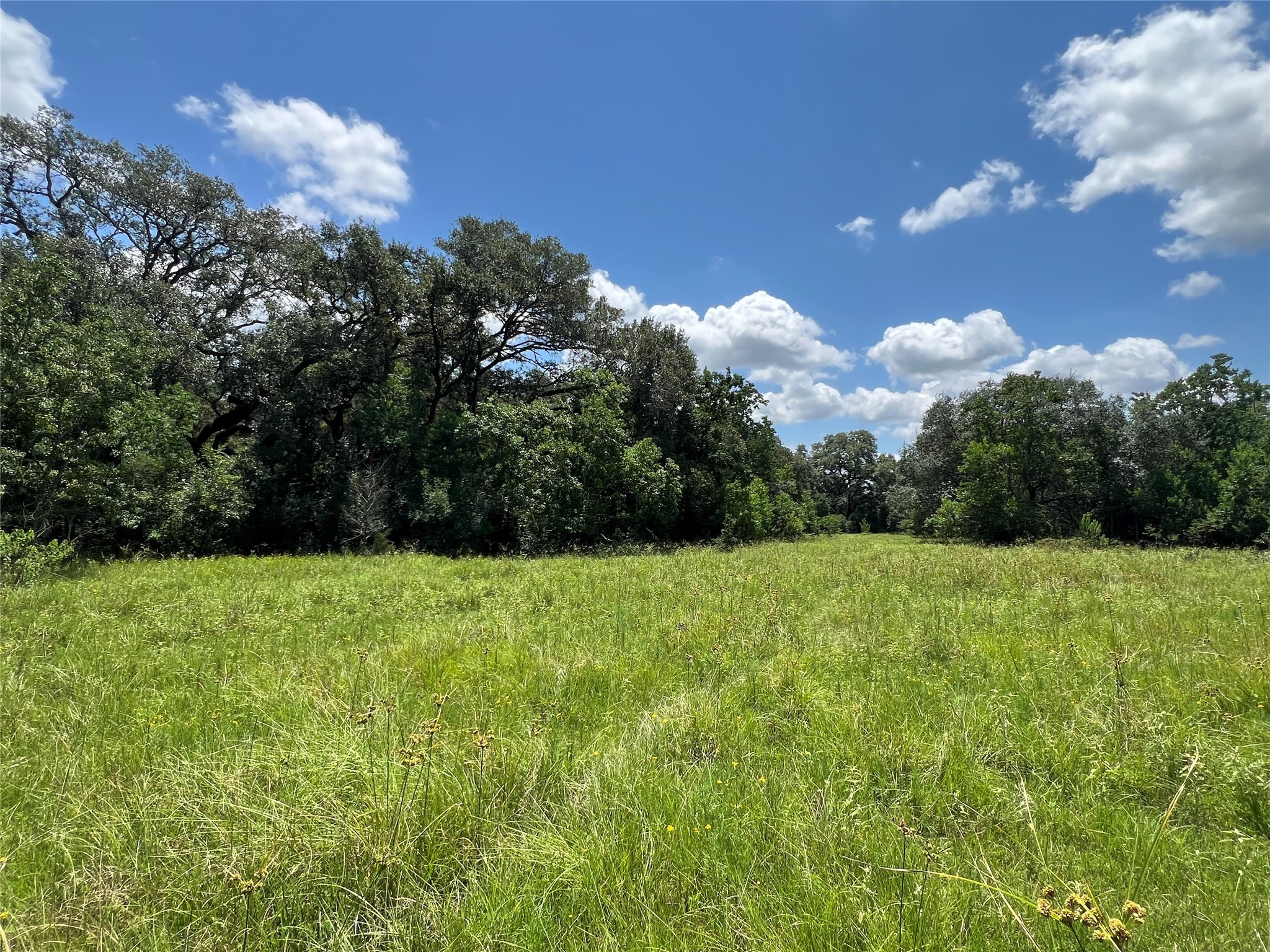 0 Frantz Road Cat Spring, TX 78933 - Photo 20 of 25