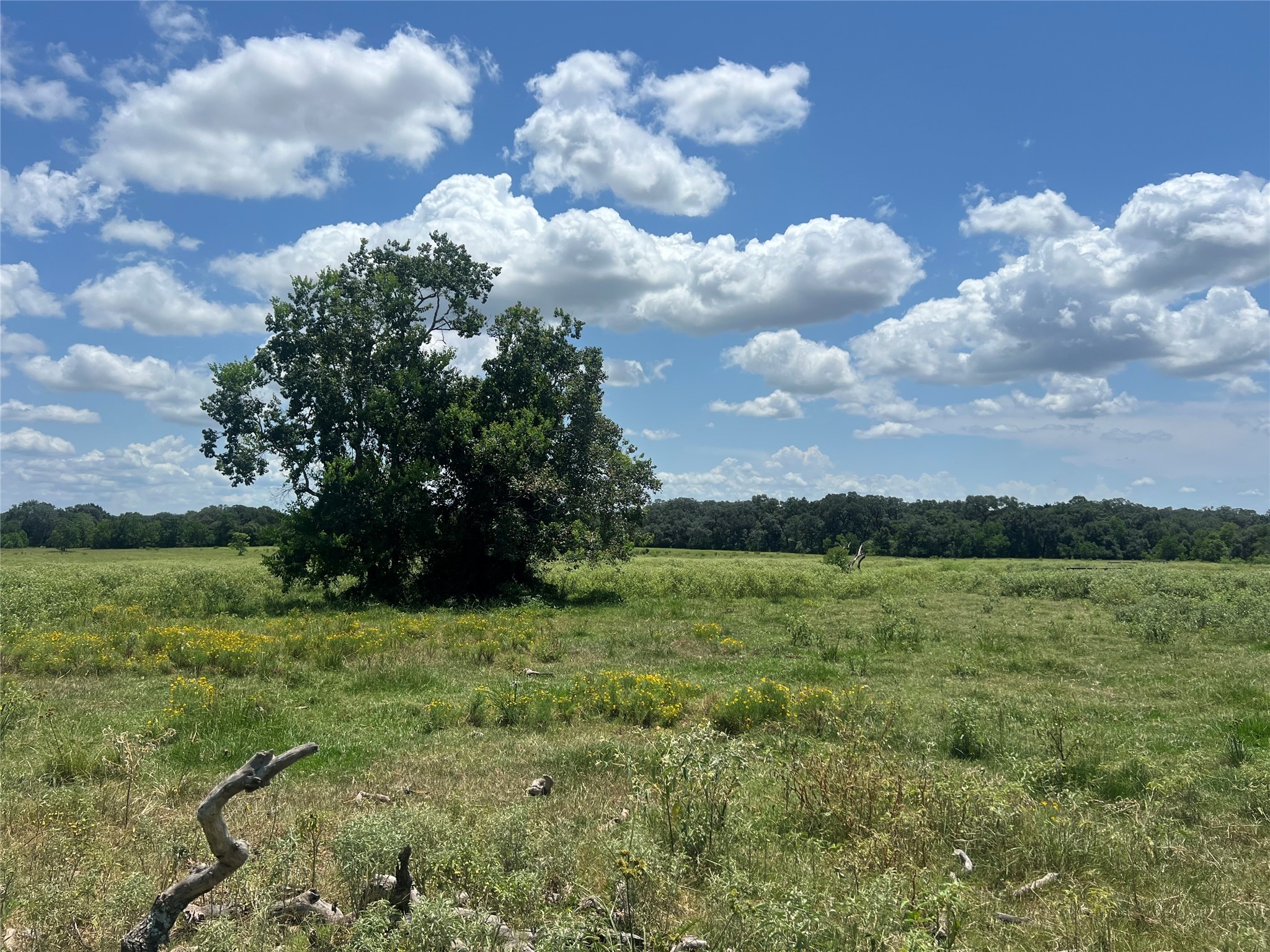 0 Frantz Road Cat Spring, TX 78933 - Photo 21 of 25