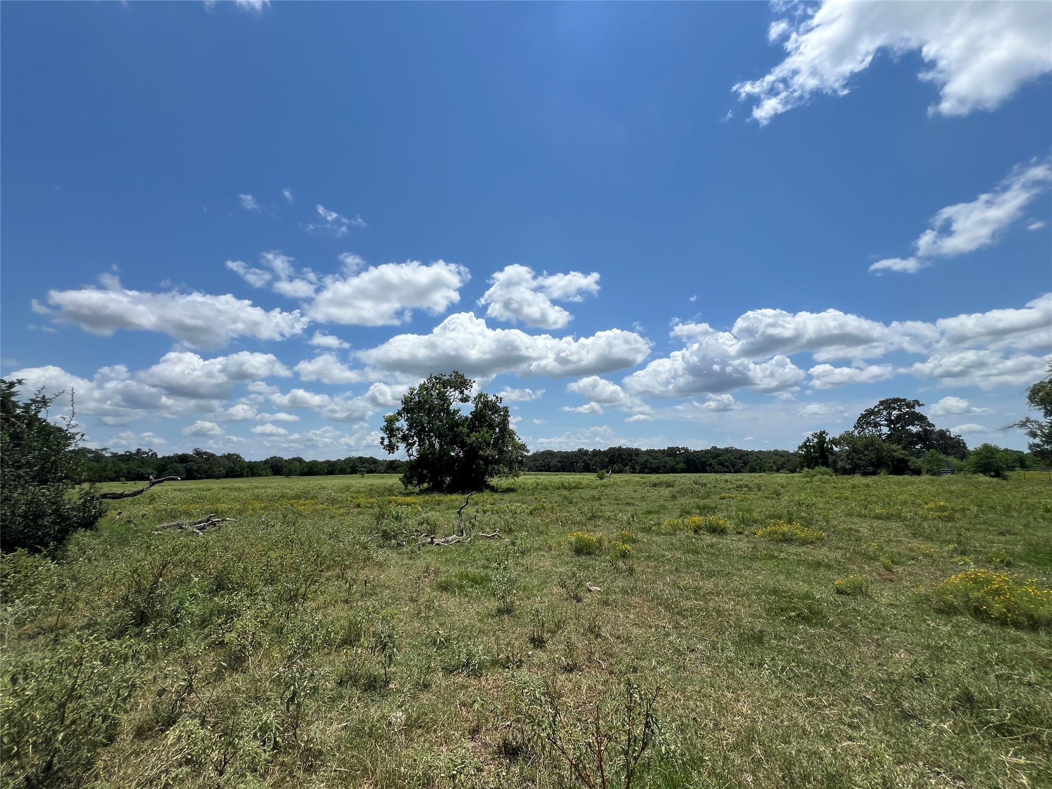 0 Frantz Road Cat Spring, TX 78933 - Photo 22 of 25