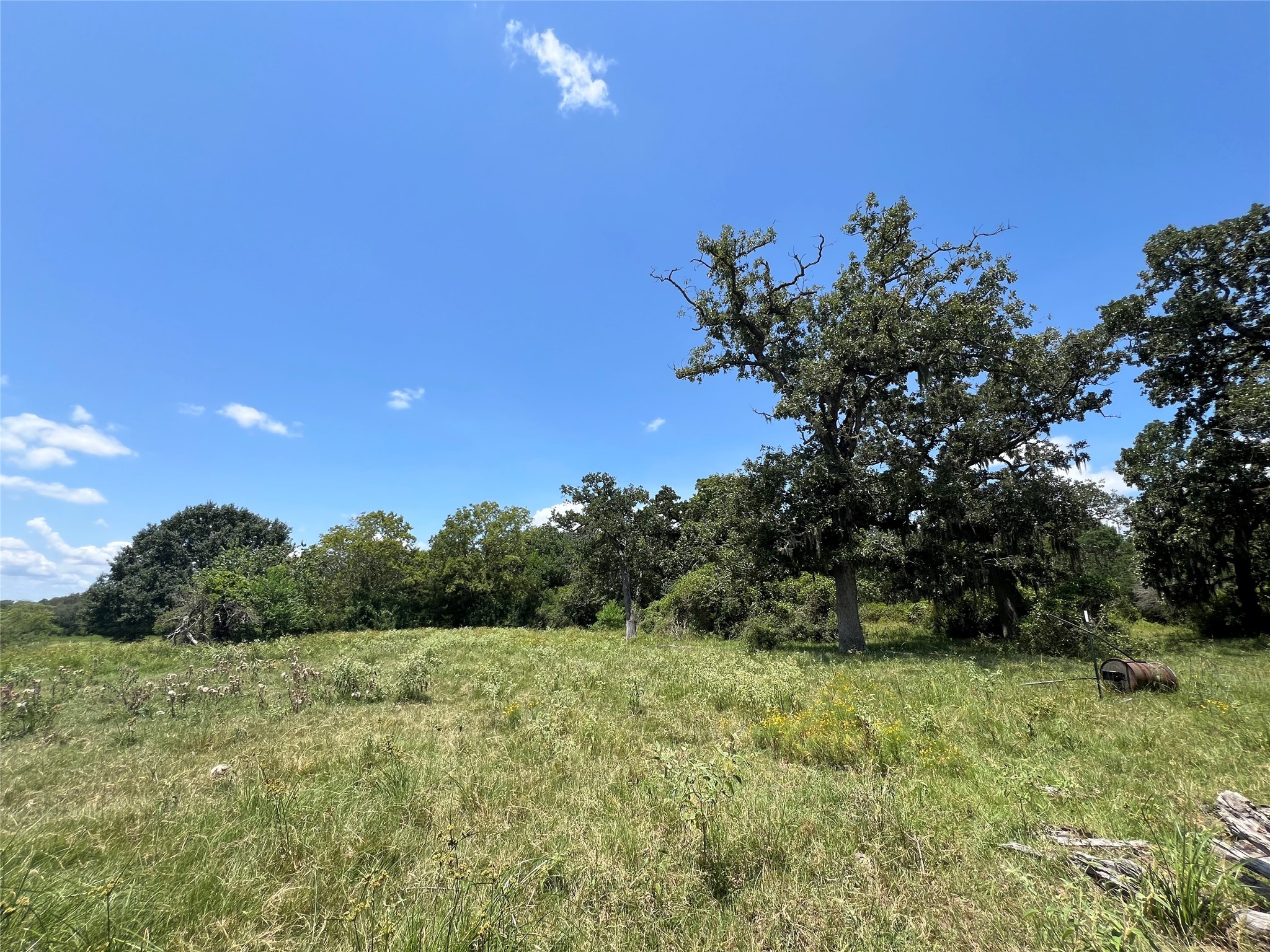 0 Frantz Road Cat Spring, TX 78933 - Photo 23 of 25