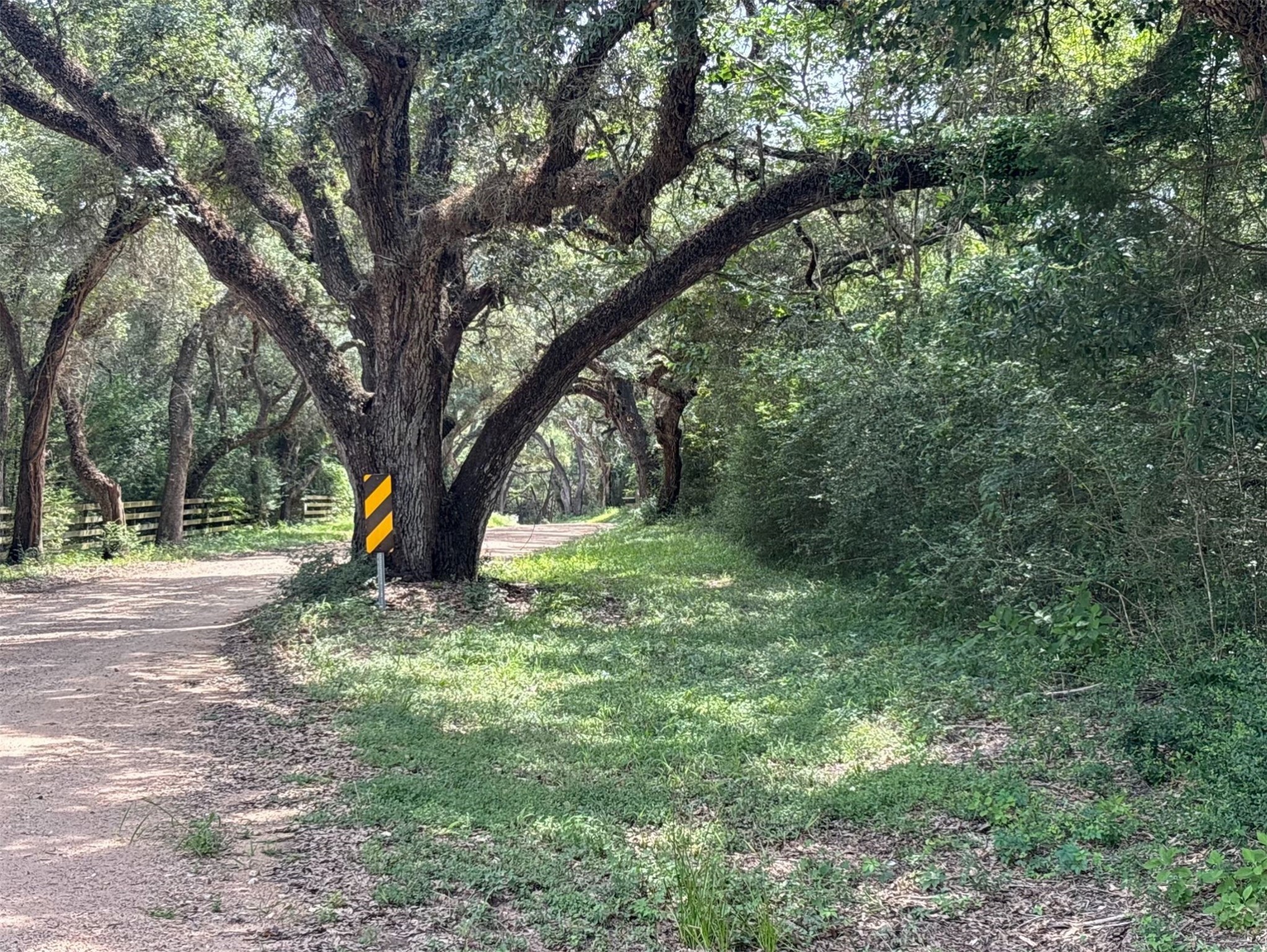 0 Frantz Road Cat Spring, TX 78933 - Photo 3 of 25