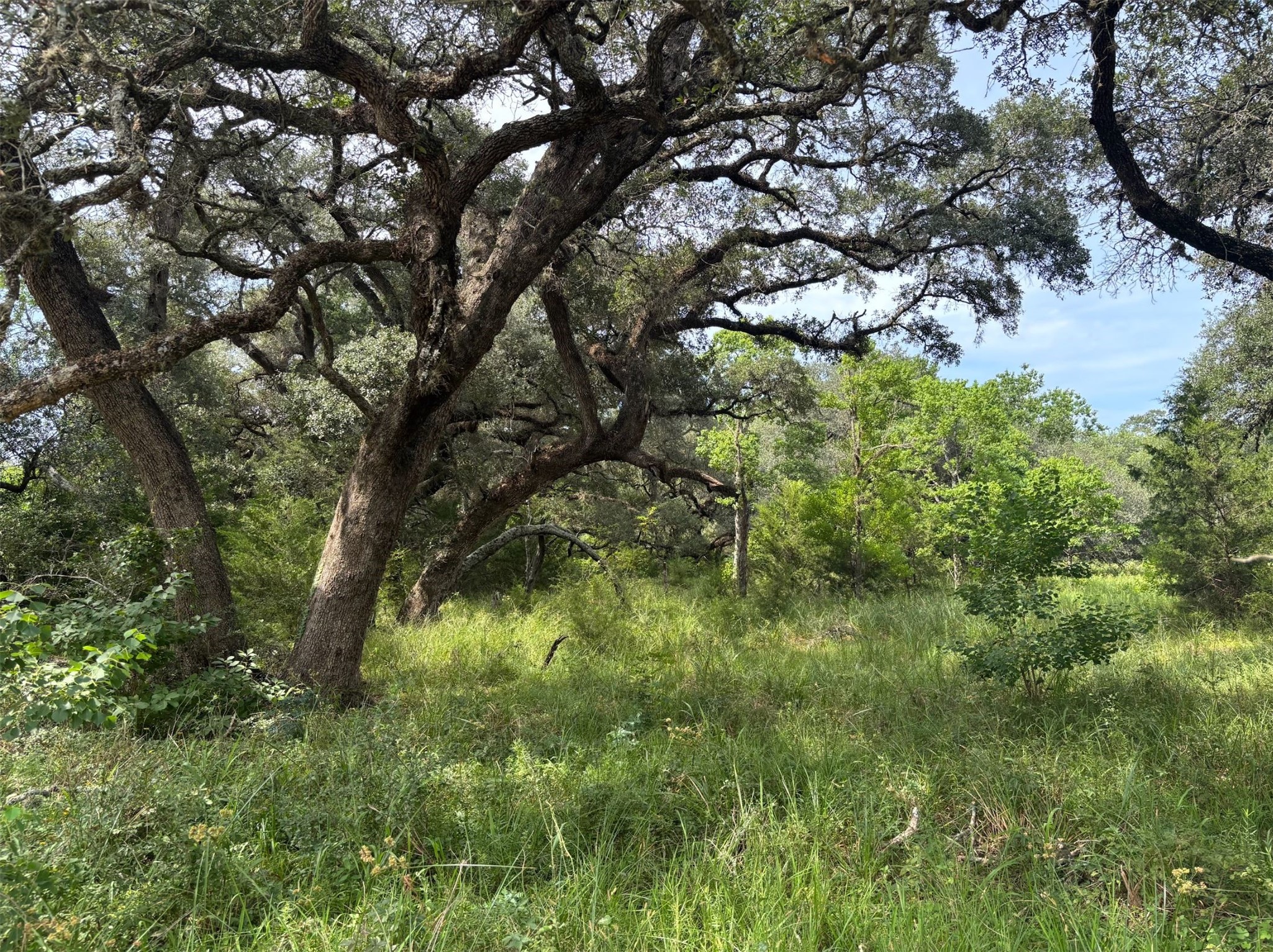 0 Frantz Road Cat Spring, TX 78933 - Photo 5 of 25